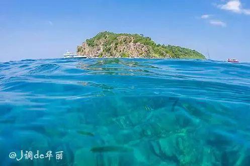 动物帮帮忙保卫家园